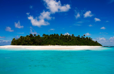 Tropical Island with a paradise beach and palm trees, Fiji Islands