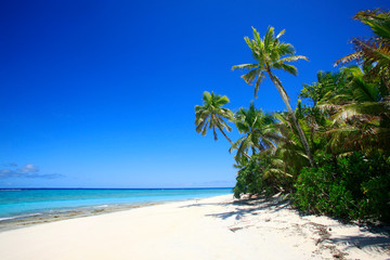 Tropical Island with a paradise beach and palm trees