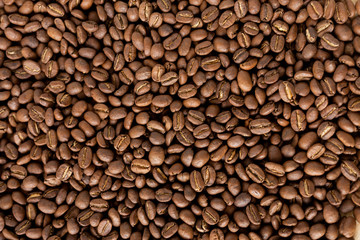 Coffee Bean Background