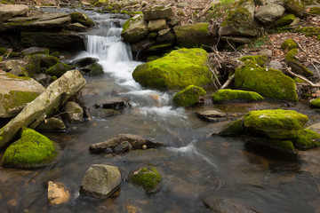 Mossy brook at the Belding Preserve in Vernon, Connecticut.