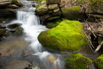 Mossy brook at the Belding Preserve in Vernon, Connecticut.