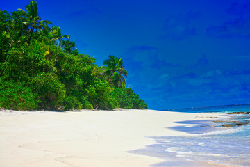 Tropical Island with a paradise beach and palm trees