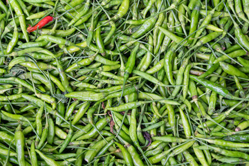 Thai green chili or green pepper sell in the local market