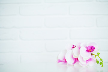 Spa and wellness scene. Orchid flower on the wooden pastel background