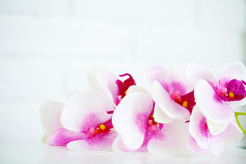 Spa and wellness scene. Orchid flower on the wooden pastel background