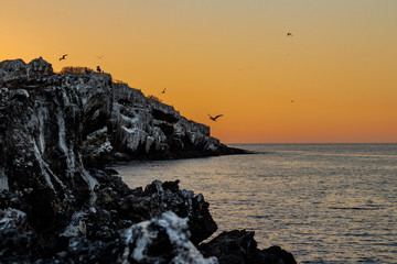 Parque nacional isla isabel
