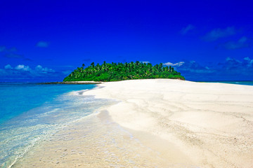 Tropical Island with a paradise beach and palm trees