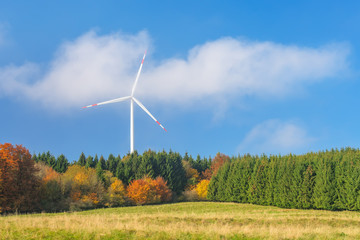 Windturbine im Waldgebiet
