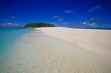 Tropical Island with a paradise beach and palm trees