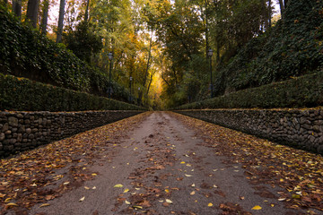 Forest of the Alhambra in Autumn, a special place in Granada (Spain) © Jorge Fuentes