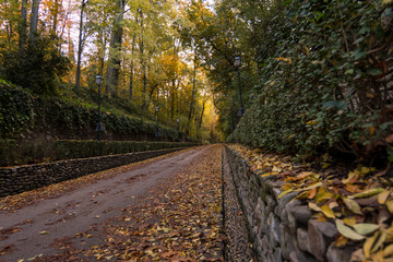 Forest of the Alhambra in Autumn, a special place in Granada (Spain)