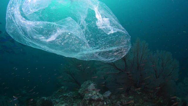 Plastic bag floating underwater over tropical coral reef 