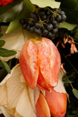 Macro on frozen tulips. Funeral arrangement, frozen in time