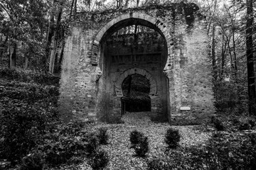 Forest of the Alhambra in Autumn, a special place in Granada (Spain) © Jorge Fuentes
