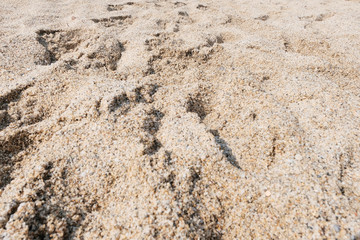 The sand on the beach. Texture or background. Footprints in the dirty yellow sand. Tourist holiday concept.