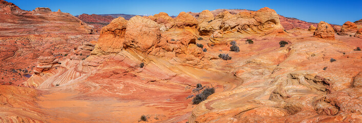 The Wave in Vermillion Cliffs, Arizona, USA