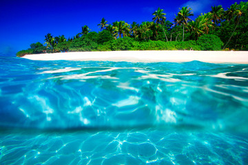 Fototapeta premium Tropical Island with a paradise beach and palm trees
