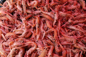 Prawns for sale at a fish market in Croatia
