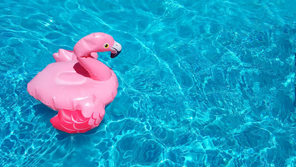 Summer concept of refreshment after the heat. Inflatable pink flamingo swims in clear ripple  pool water. There is a place for text, copy space. Beautiful toy for a poster, banner or flyer. isolated