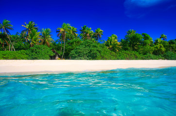 Tropical Island with a paradise beach and palm trees
