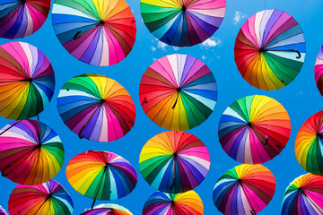 Many colorful umbrellas. Rainbow gay pride protection