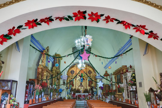 Santa Mara el Tule