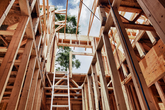 Extension Ladder and Framing