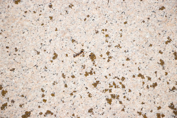 Rough stained marble wall texture