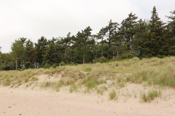 Küstenlandschaft auf der Nordseeinsel Föhr