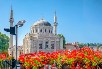Fototapeta na wymiar Flowers with Pertevniyal Valide Sultan Mosque, an Ottoman imperial mosque in Istanbul, Turkey. Summer sunny day with blue cloudy sky.