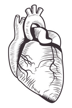 realistic heart drawn tattoo icon