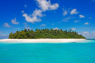 Tropical Island with a paradise beach and palm trees