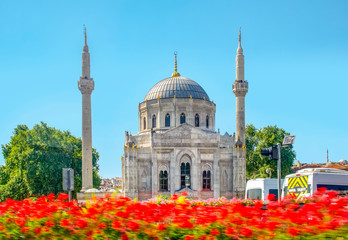 Flowers with Pertevniyal Valide Sultan Mosque, an Ottoman imperial mosque in Istanbul, Turkey....