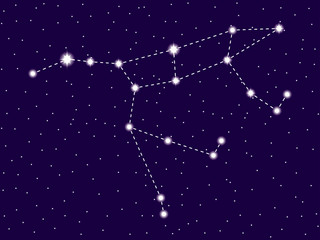 Ursa Major constellation. Starry night sky. Vector illustration