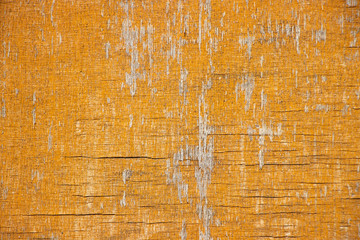 Yellow stained rough grunge vintage wood texture