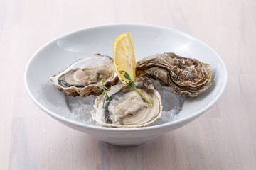 Plate with raw oysters and lemon slices on ice