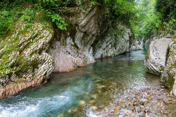 Mountain river in a stone gorge with a green forest on the slopes.