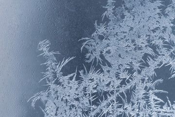frosty patterns on the window glass closeup. Seasons of nature and uniqueness