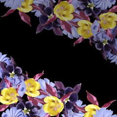 Beautiful floral background of chicory and aquilegia. Isolated