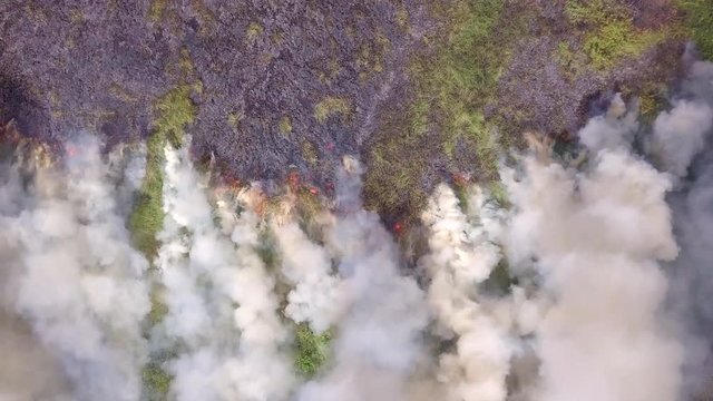 The forest fire is burning
