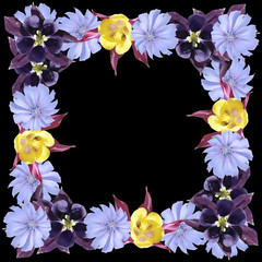 Beautiful floral background of chicory and aquilegia. Isolated