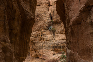 canyon rocky walls scenic natural background landscape