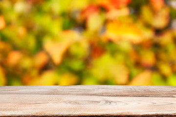 Naklejka na ściany i meble Autumn theme. Wooden planks on the background of autumn trees.