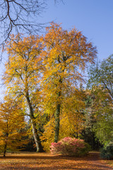 Fototapeta premium Strasbourg 006