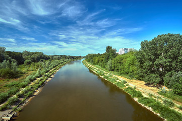 Fototapeta na wymiar trees on the banks of the Warta River in the city of Poznan