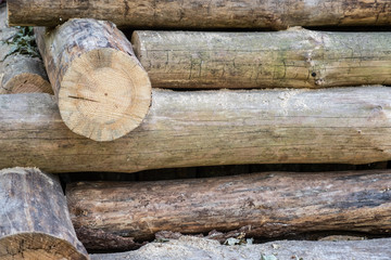 the wall of the log house, the wall of logs.