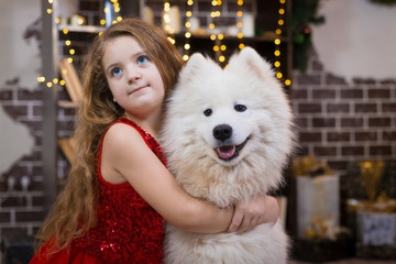  Girl and samoyed husky dog. Christmas