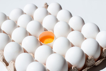 Fresh eggs isolated. White eggs in tray