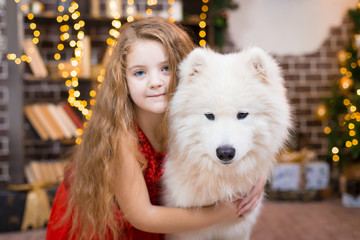  Girl and samoyed husky dog. Christmas