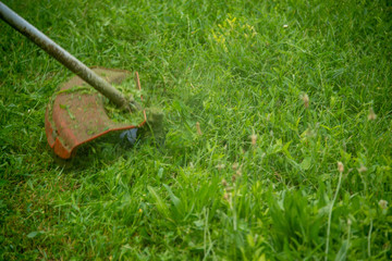 Grass trimming on a sunny day